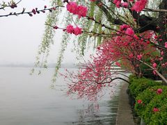 android_upload_pic-西湖天地