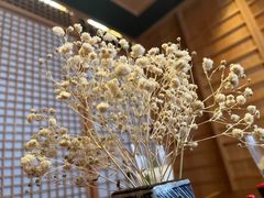-松涛日本料理