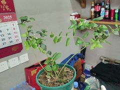 -高老庄·老溧阳·私房菜(南山竹海店)