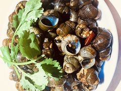 酒酿田螺-四星望月(中联店)