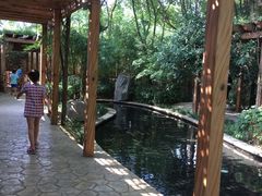 -热带风暴水上乐园(新镇路)