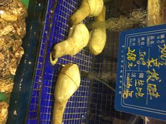 蓝港海鲜厨房(金水路店)-蓝港海鲜厨房(金水路店)