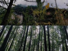 -山王坪喀斯特国家生态公园