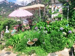 -荒度咖啡(北九水店)