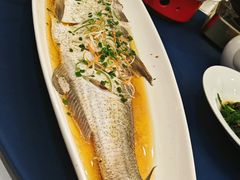 阳澄湖白丝鱼-火福·天湖阁大闸蟹博物馆主题餐厅(浅水湾店)