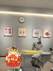 -洗脸猫·洗脸吧