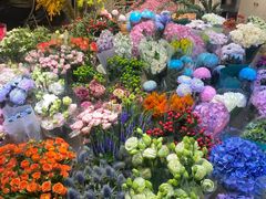 -双季花艺园艺市场(浦东店)
