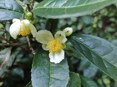 -敬亭山风景名胜区