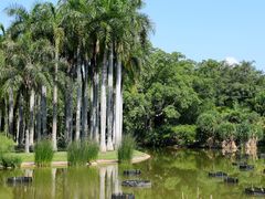 -中国科学院西双版纳热带植物园
