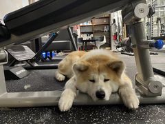 -YCHL Studios健身工作室(市二宫店)