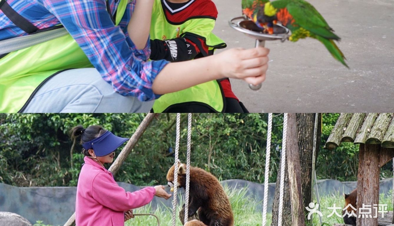 人生第一次 春游大作战