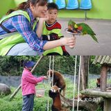 人生第一次 春游大作战