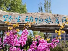 -大连森林动物园