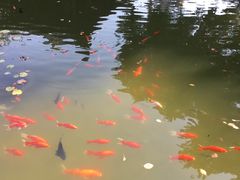-口岸雕花楼