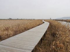 android_upload_pic-漩门湾国家湿地公园