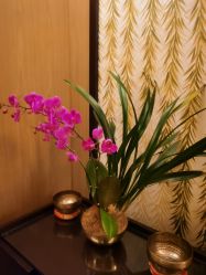 -文华东方水疗中心