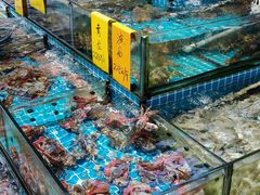 -好味道海鲜大排档·老字号(巽寮湾海鲜市场店)