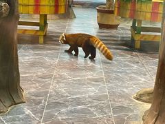 -海合安成都极地海洋公园
