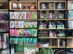 -欧奕国际动物医院