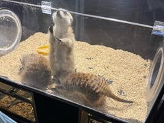 -太平洋海底世界