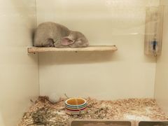 -龙猫仔乐园(惠福东路店)