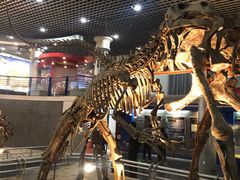 -国家自然博物馆