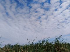 -春花秋色城市公园