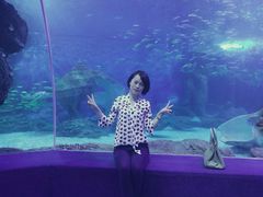 -多彩贵州城极地海洋世界