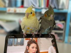 -雨林宠物医院 非犬猫异宠专科