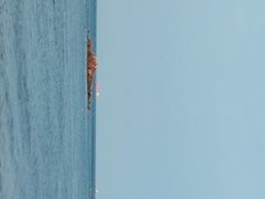 -西中岛海滨