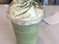 -飞行喵MR PILOT|猫舍·猫咖(静安大融城店)