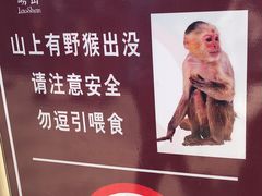 -崂山仰口游览区