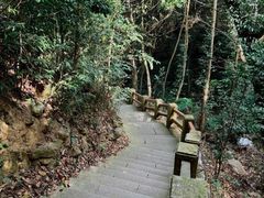 -梧桐山风景名胜区