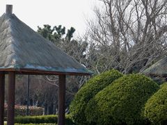 -青岛银沙滩
