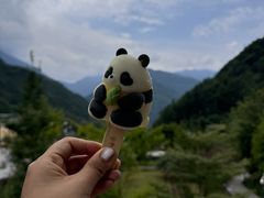 -卧龙中华大熊猫苑神树坪基地