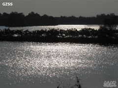 -大湾区中央湿地公园