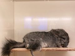 -龙猫仔乐园(惠福东路店)