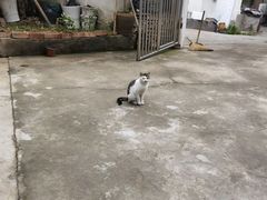 -竹园小居(石塘竹海店)
