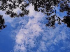 -白鹭洲公园