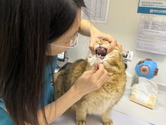 -美联众合动物医院·24h转诊中心