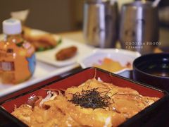 -dodonpa.墩墩伐 便当食堂(博华广场店)
