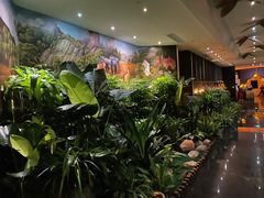 -素可汤泉(天宝大厦店)