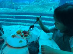 -亚特兰蒂斯•OSSIANO奥西亚诺海底餐厅