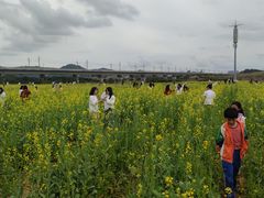 -光明小镇欢乐田园