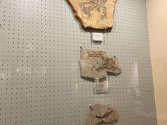 -辽宁古生物博物馆