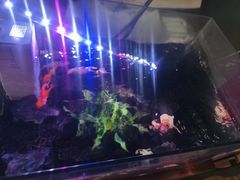 -三个大叔东北烧烤·砂锅菜(西三旗店)