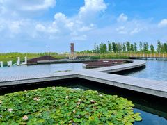 -春花秋色城市公园