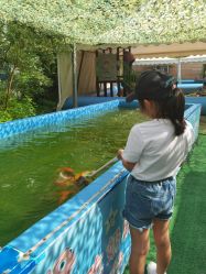 -萌宠亲子动物乐园(槐房万达店)