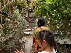 -呀路古热带植物园