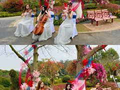 -东莞植物园